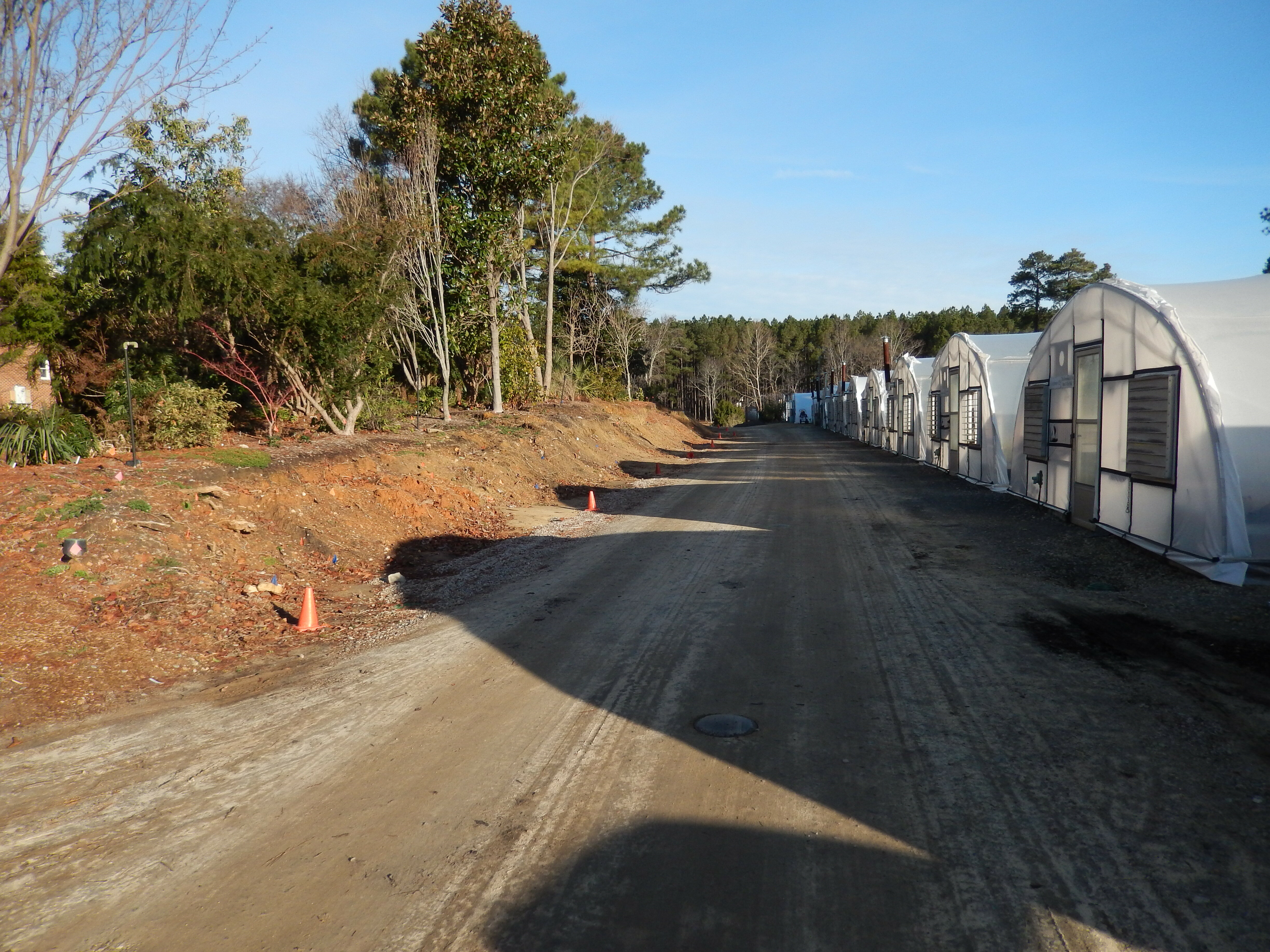 2017 9249 Crevice garden bank clearing north end