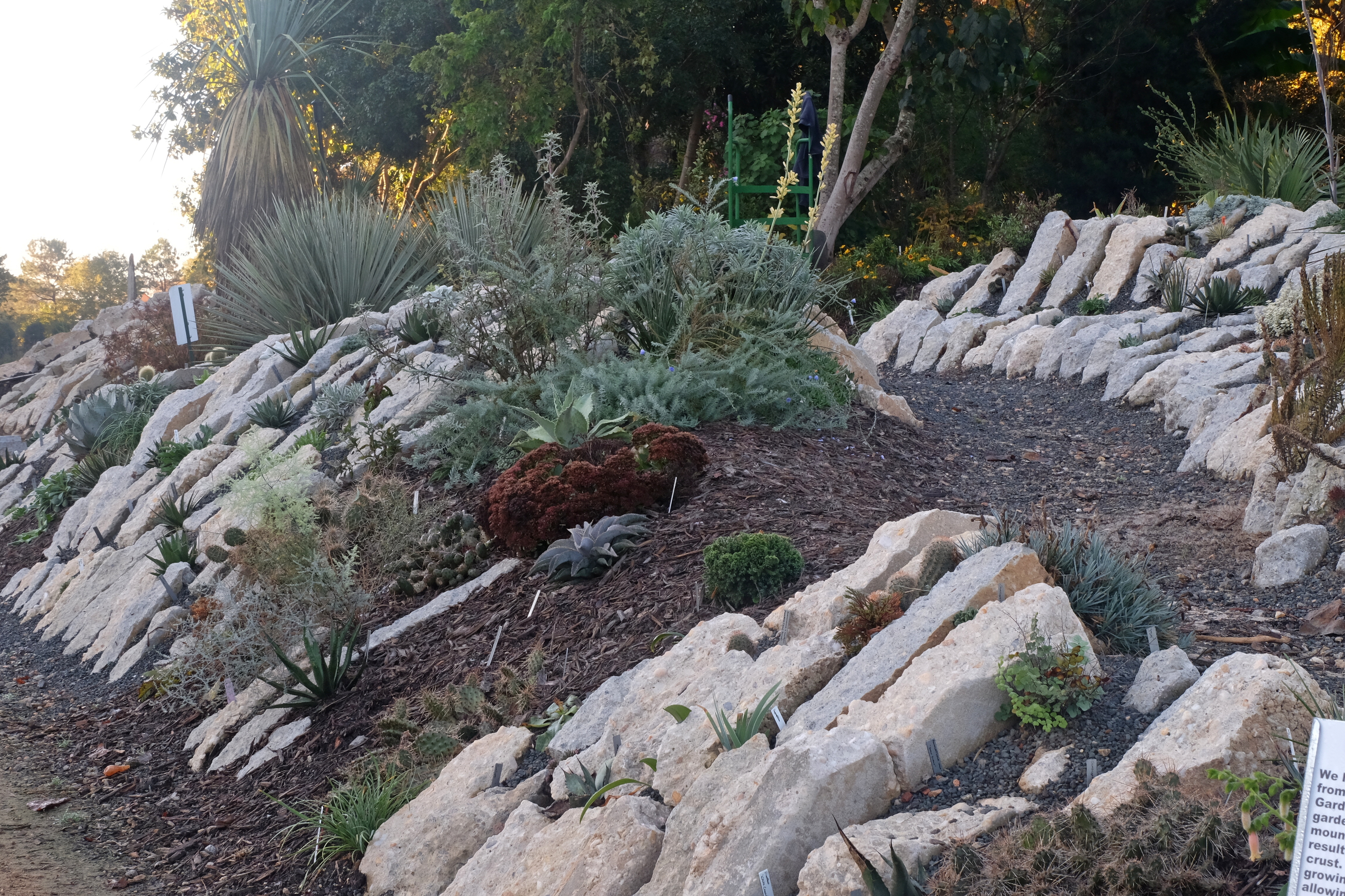 2017 9249 Crevice garden north to south section