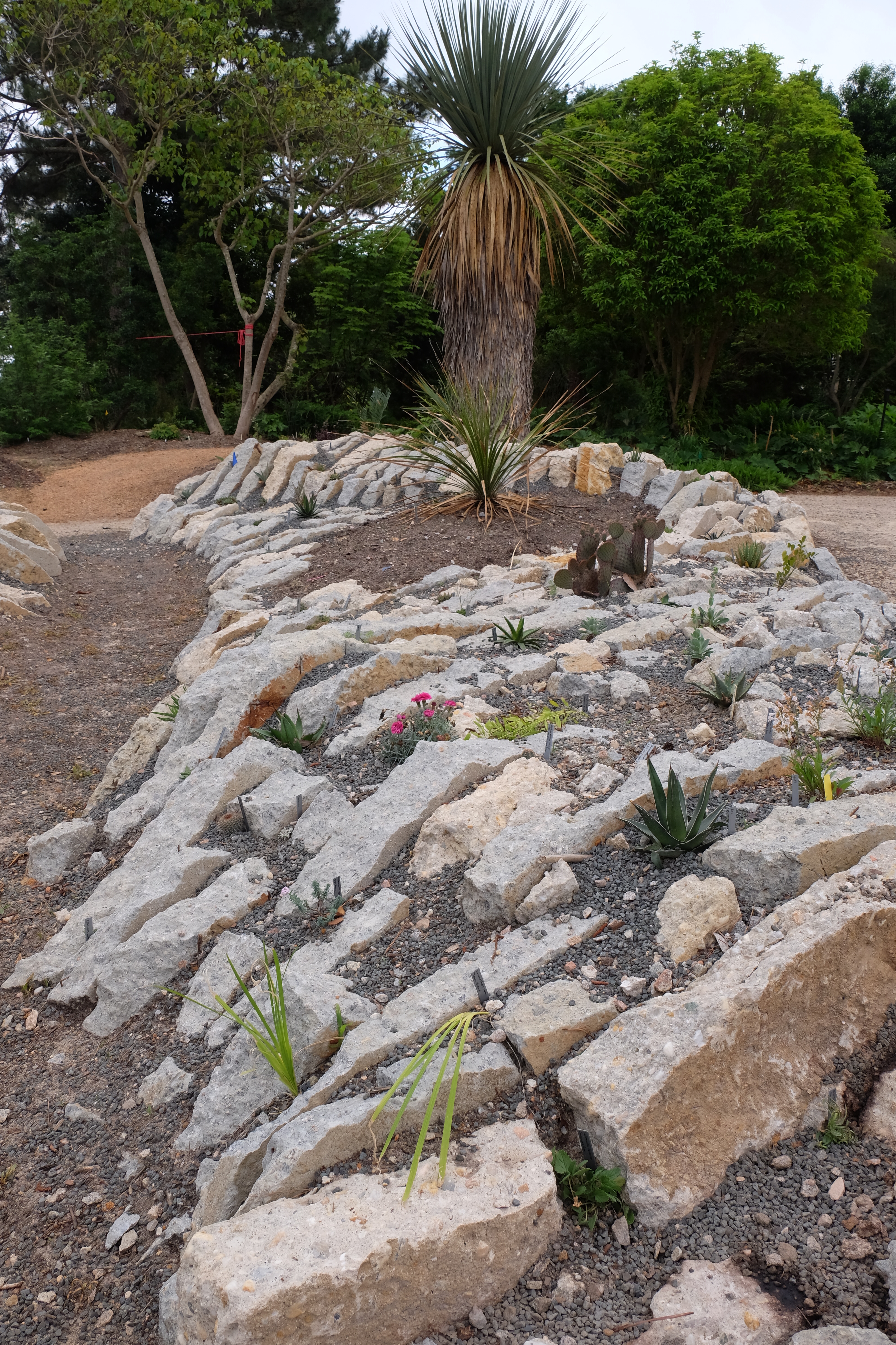 2017 9249 Crevice garden section 1 north to south