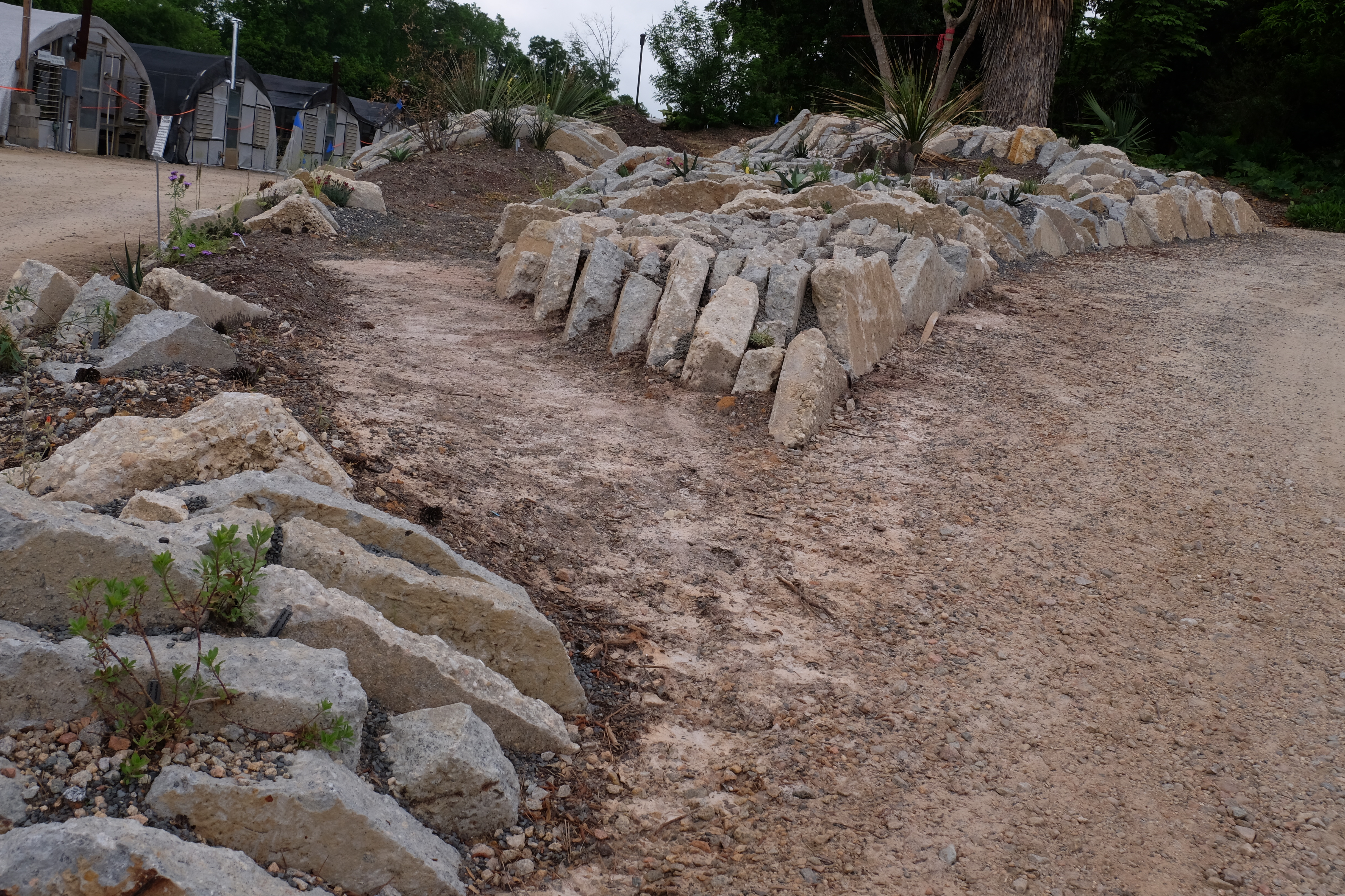 2017 9249 Crevice garden section 1 north to south