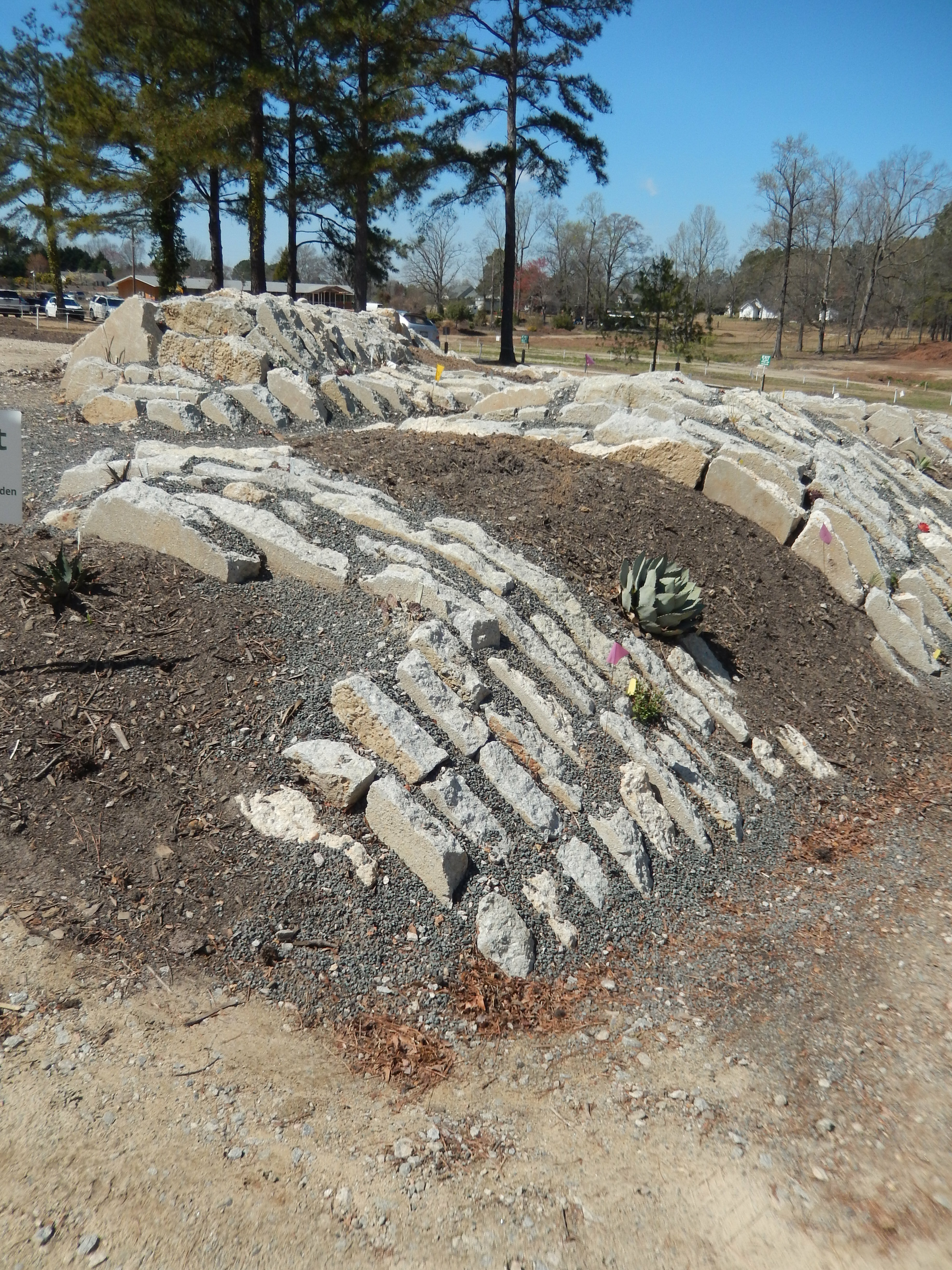 2017 Crevice Island Construction22 with first plants