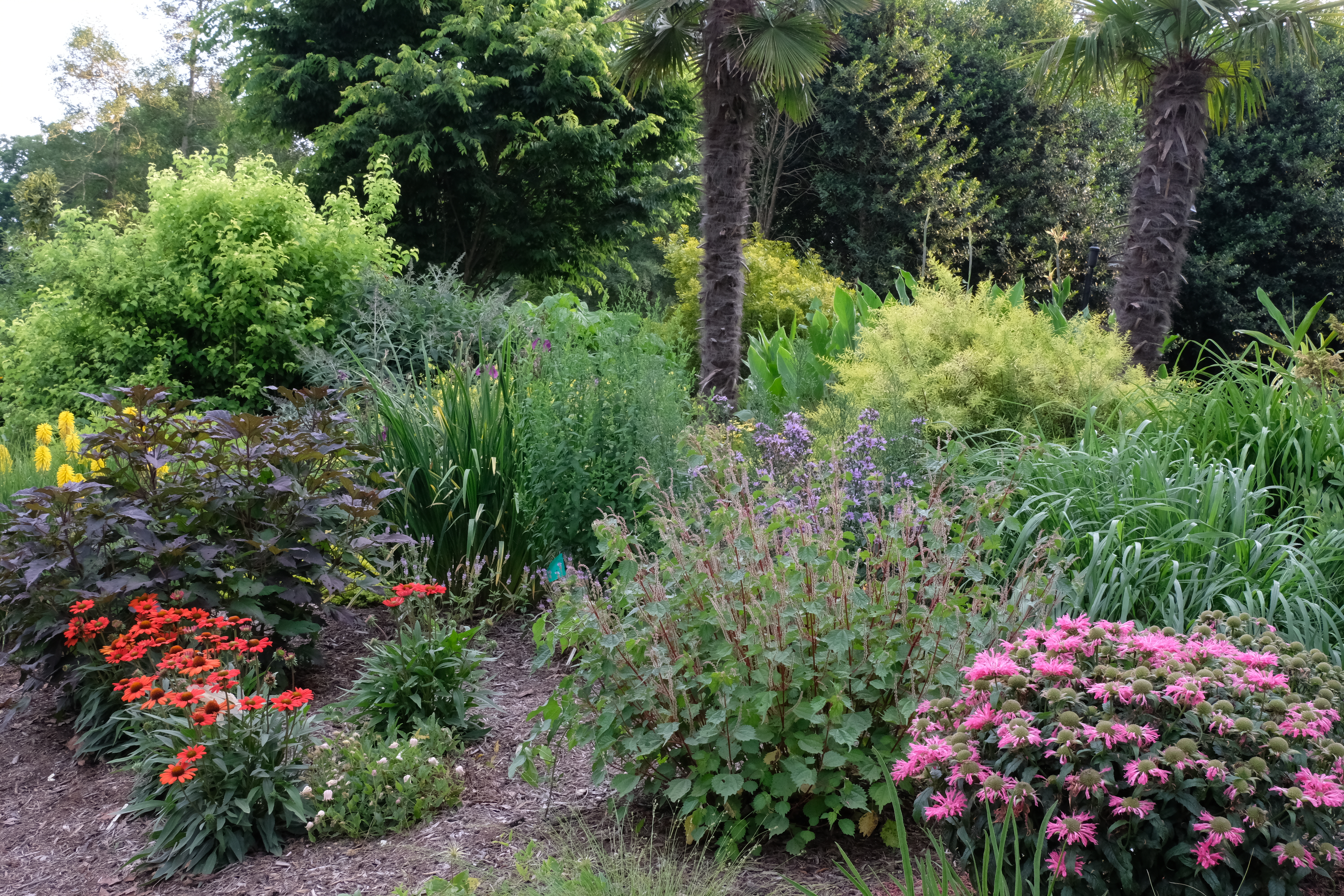 2018 9249 Myrica Soleil bed east to west