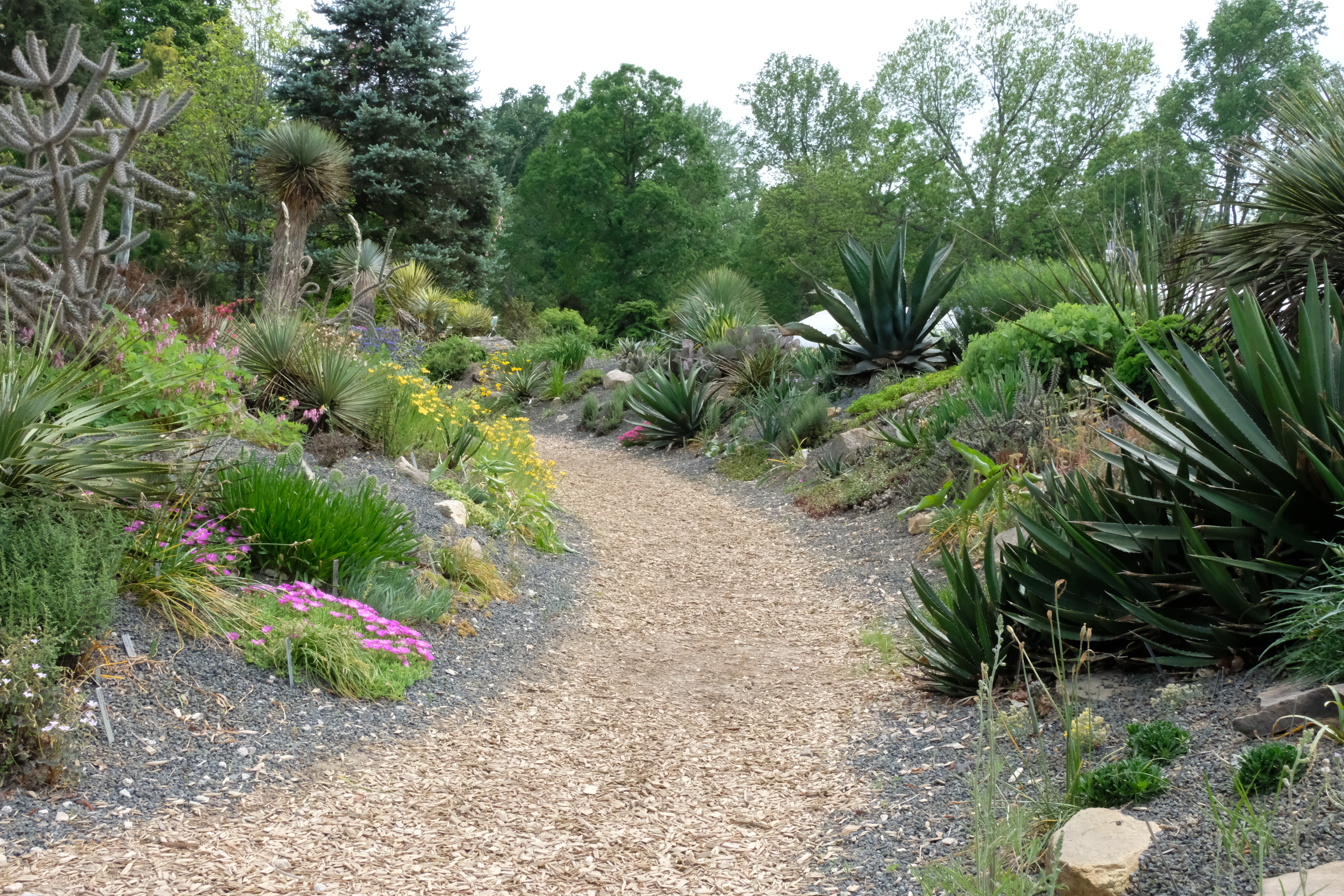 2018 9249 alpine garden north to south