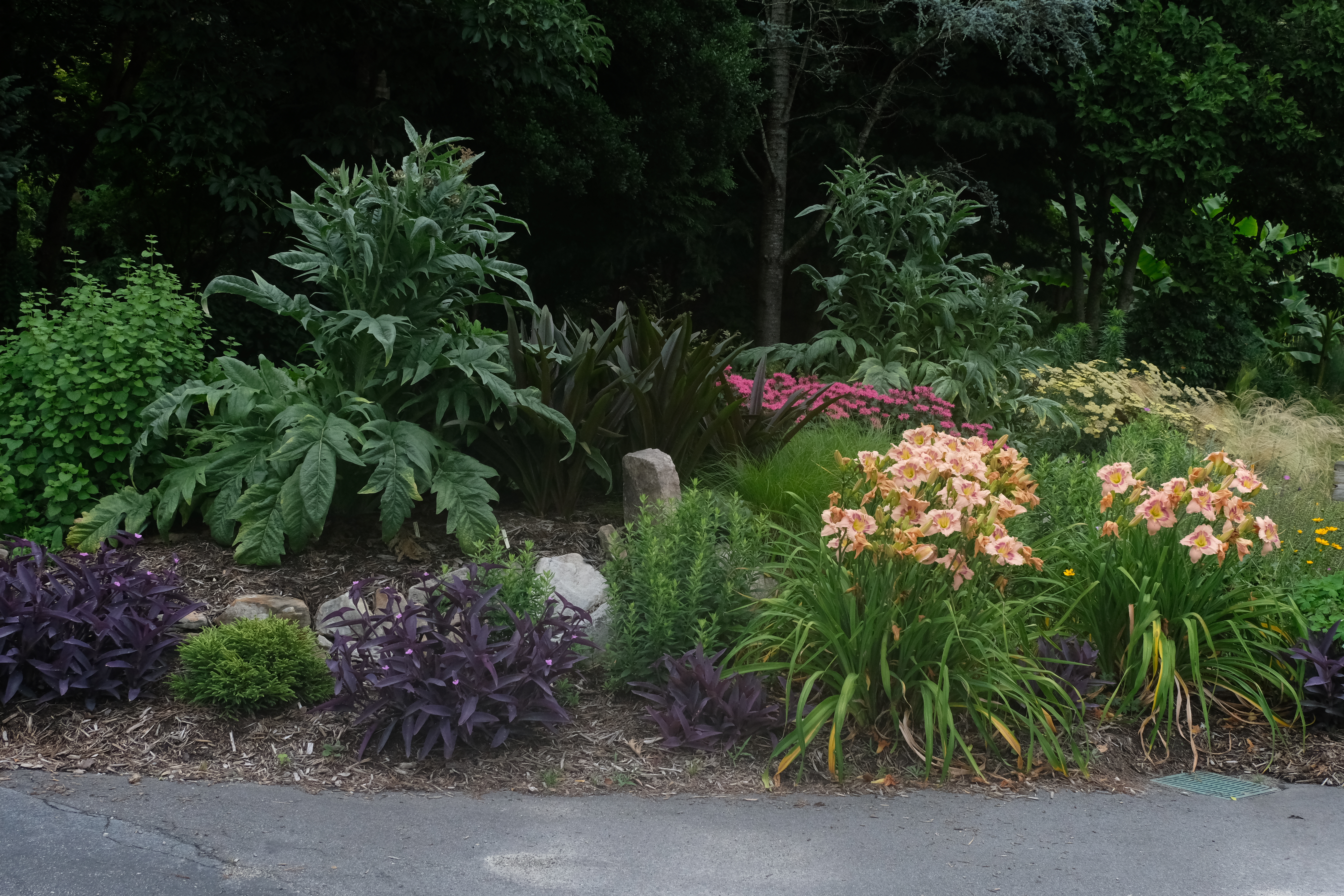 2018 JLBG Entrance planting