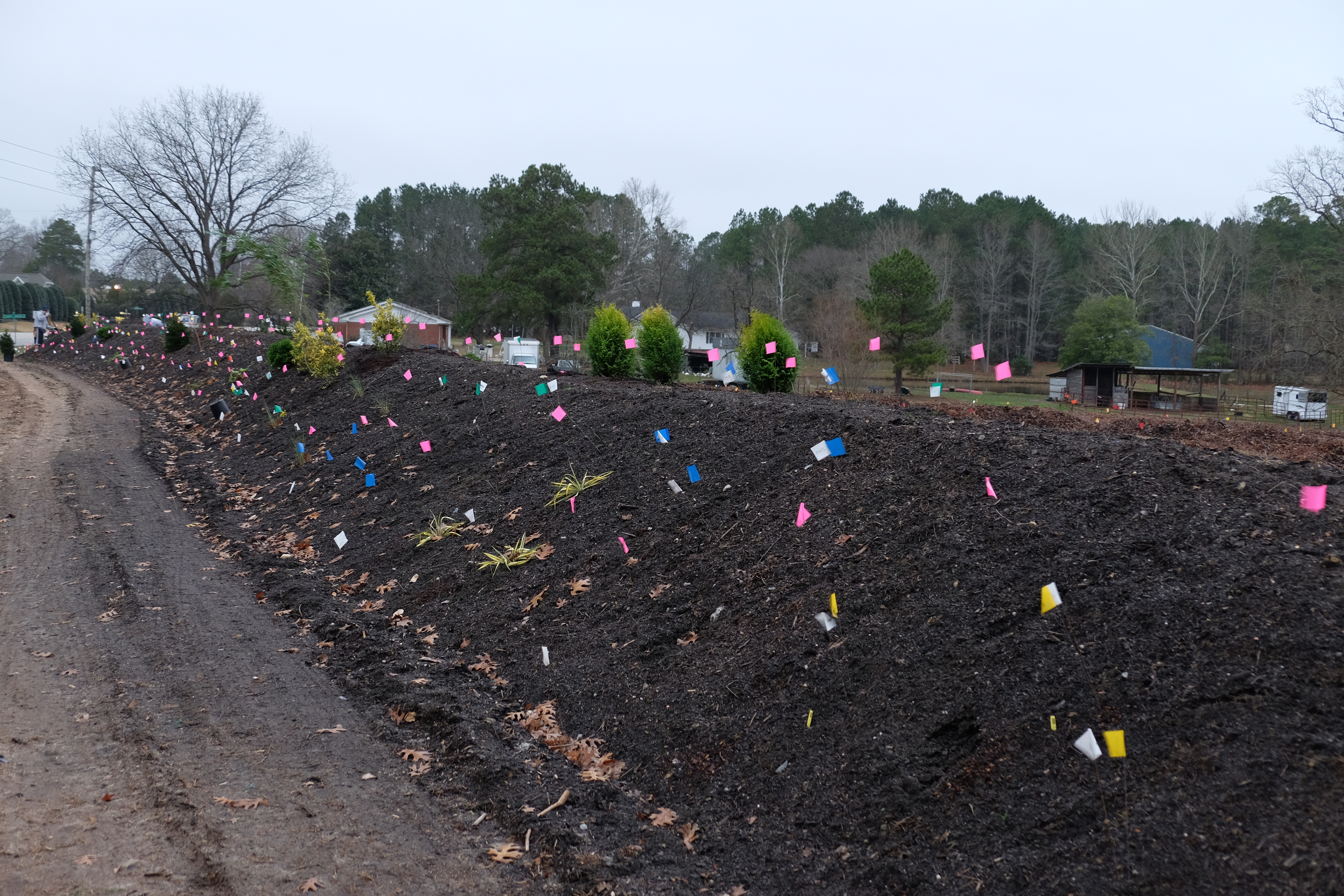 2017 9205 berm planting installation