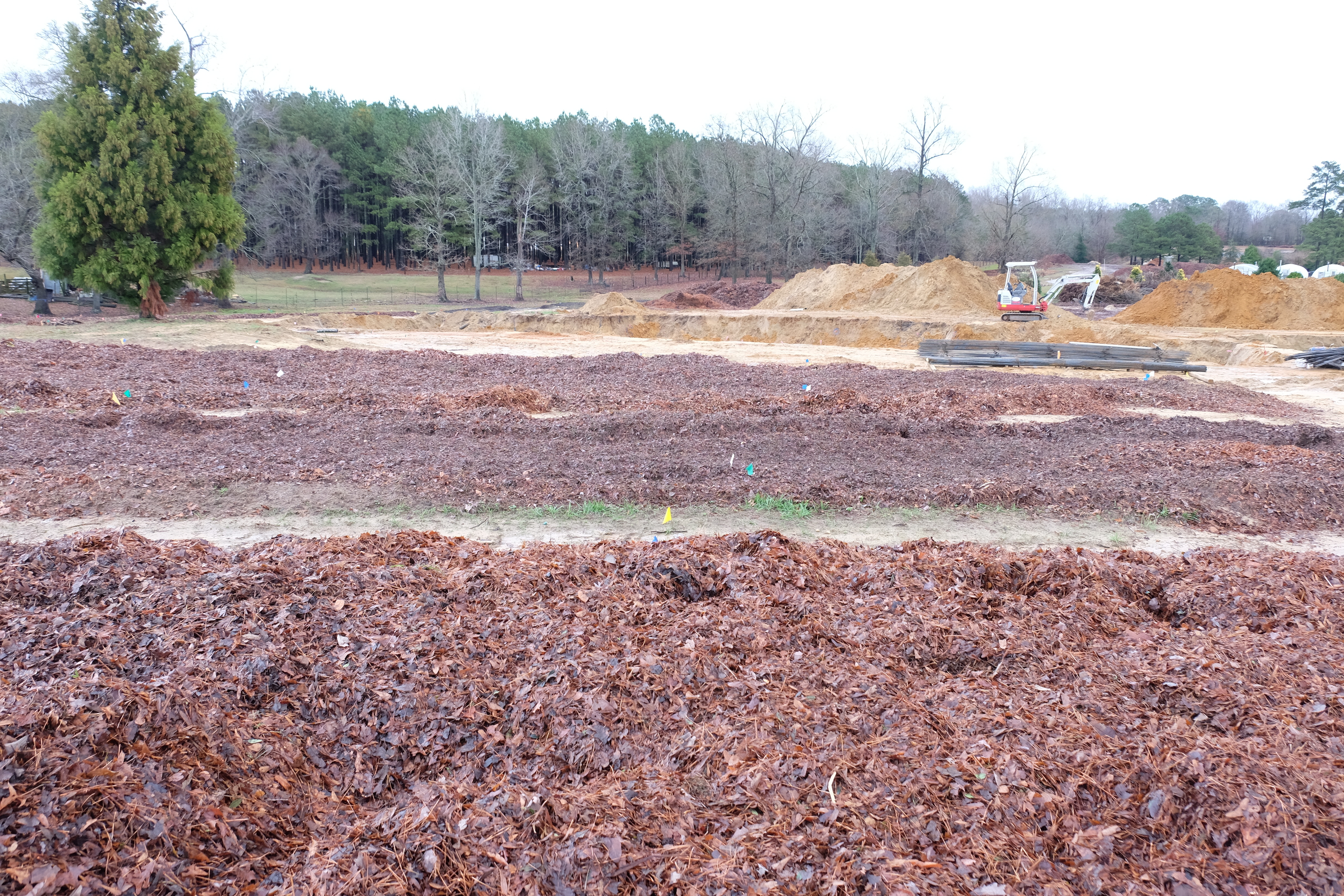 2017 9205 leaves added looking east toward house site3