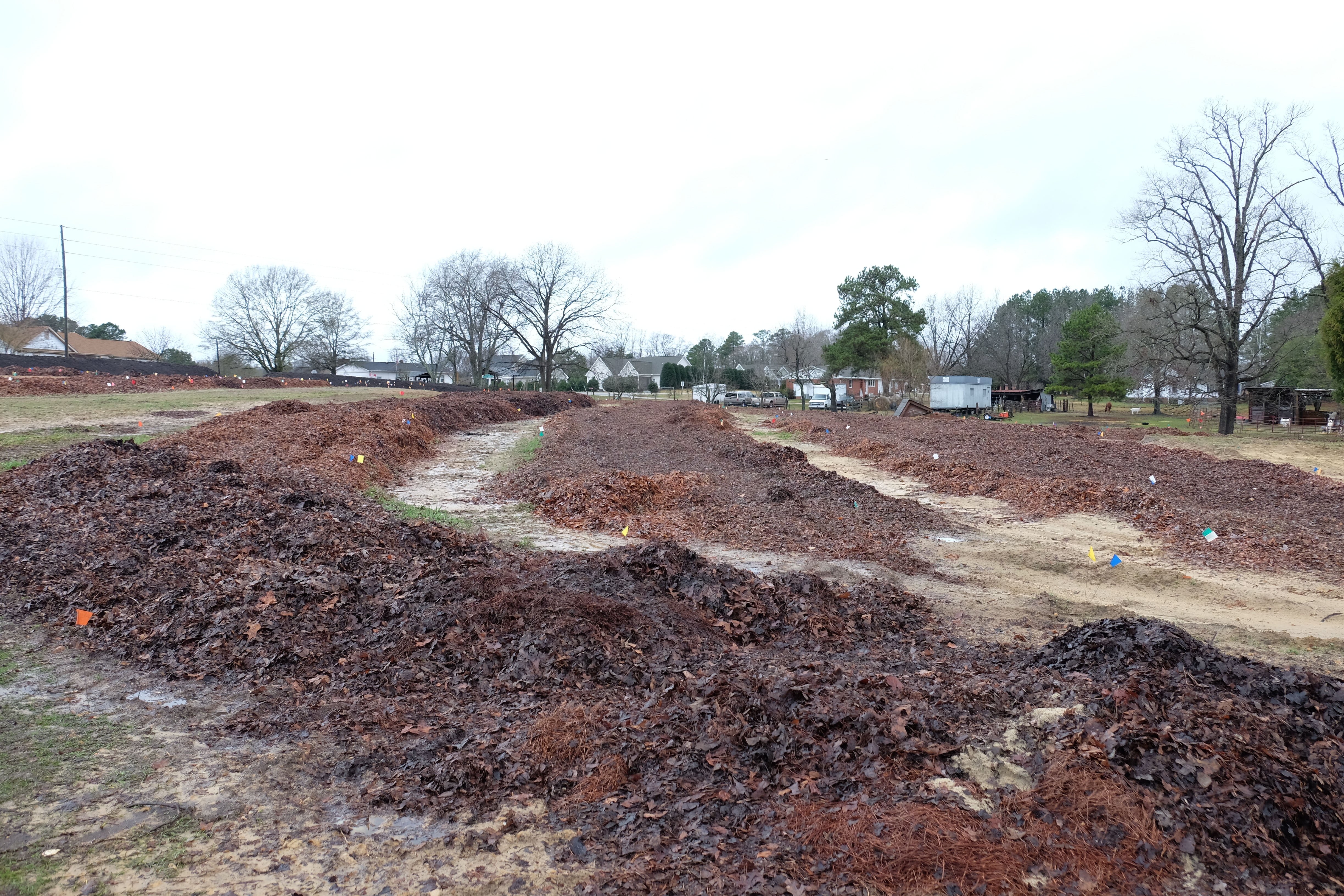 2017 9205 leaves added to beds west of house site2