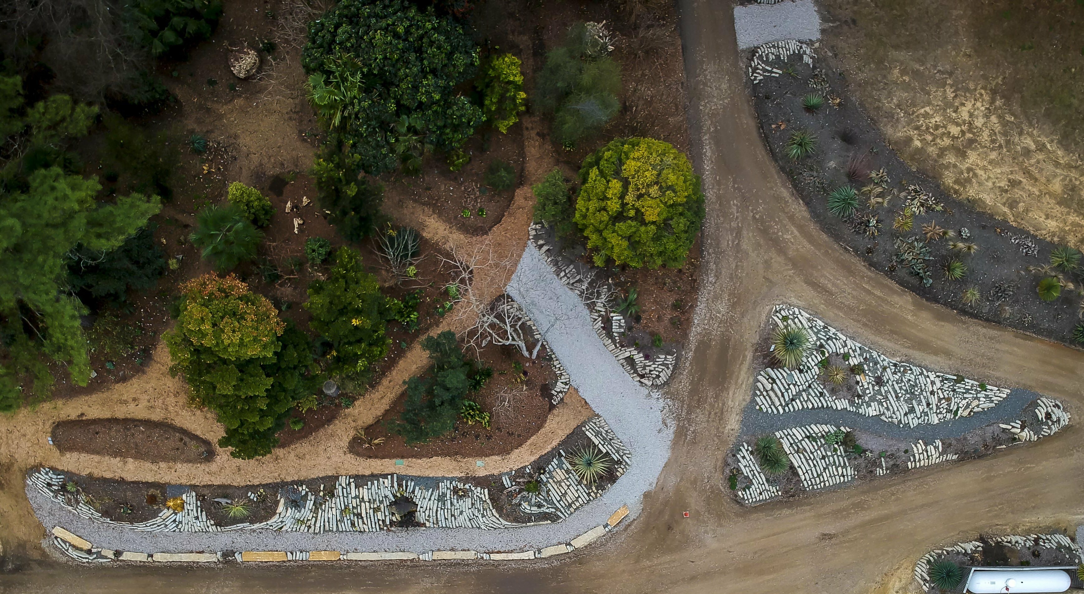 2018 Crevice garden section 1,2 from above (J. Sumerell)