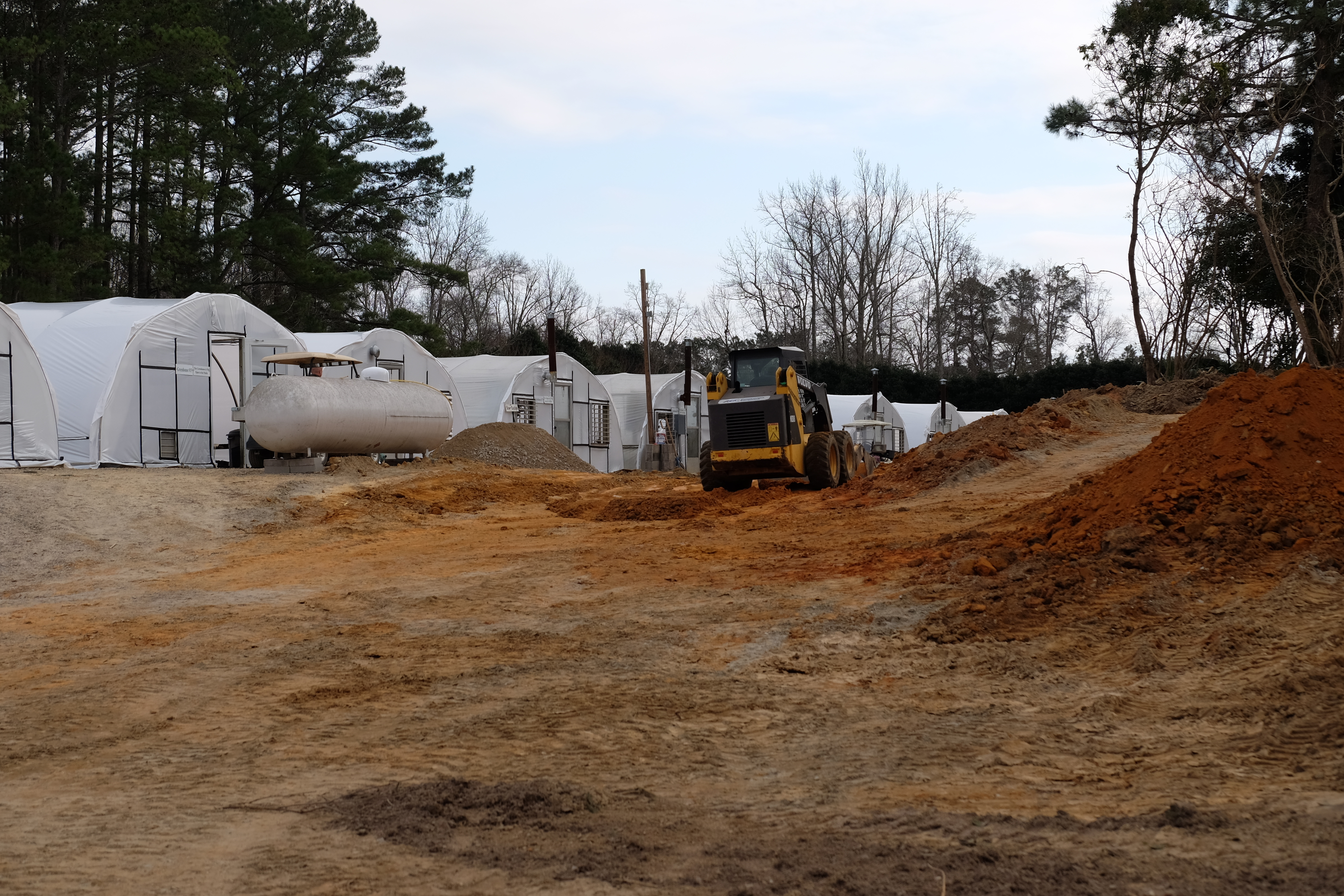 2016 - Crevice garden grading prep #2