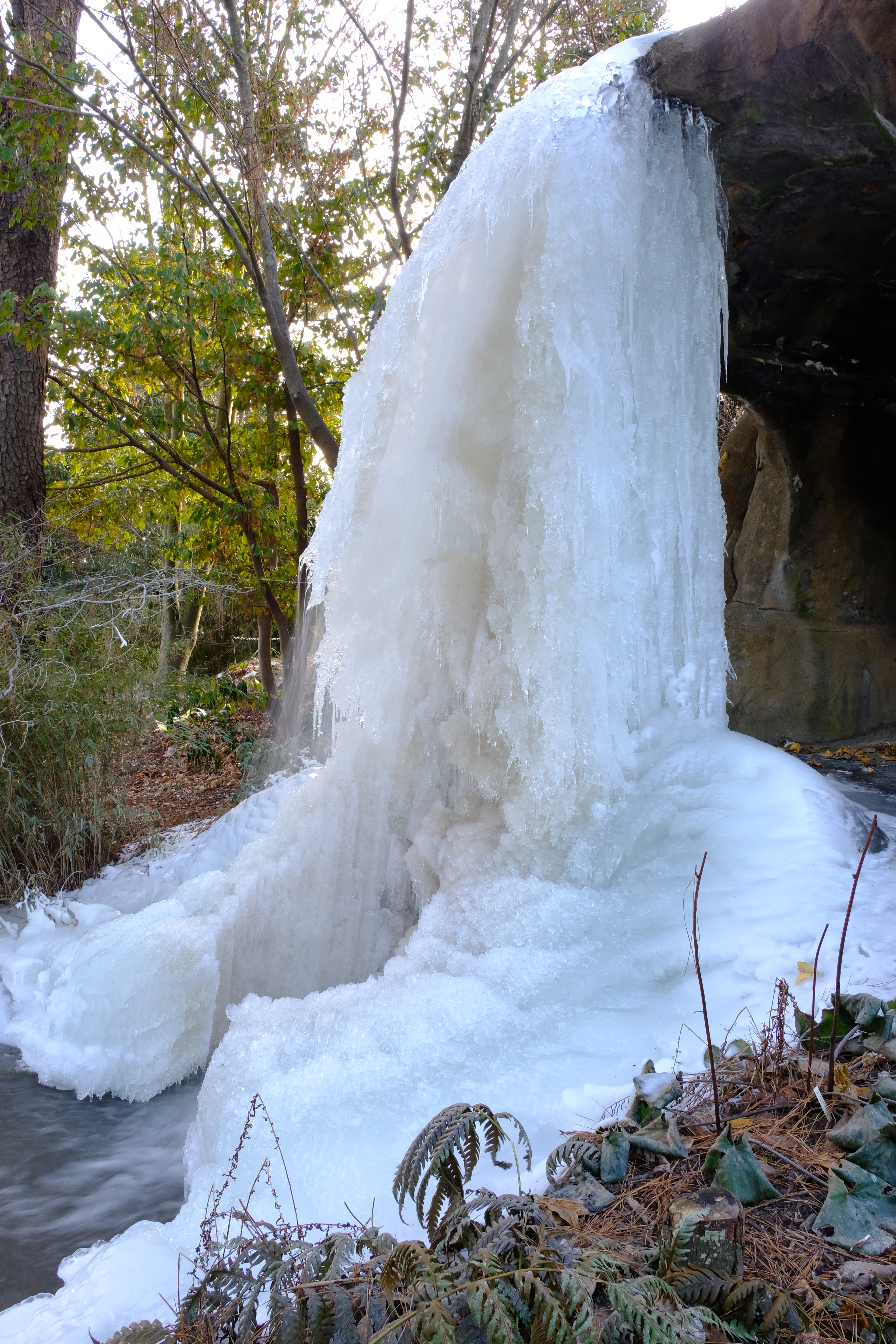 2018 Mystic Falls frozen from north